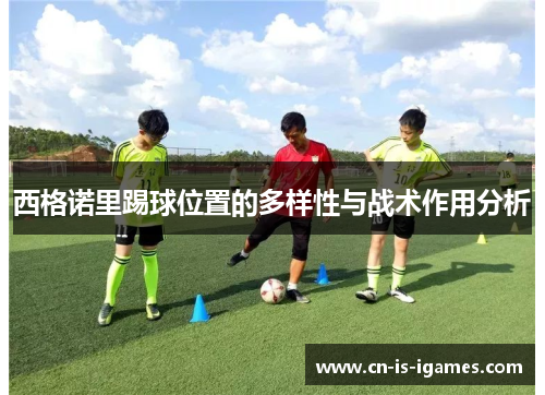 西格诺里踢球位置的多样性与战术作用分析