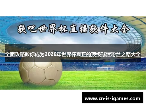 全面攻略教你成为2026年世界杯真正的顶级球迷粉丝之路大全